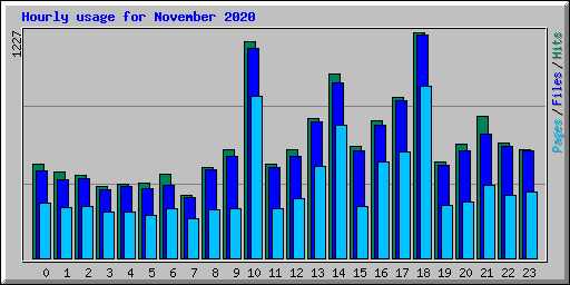 Hourly usage for November 2020