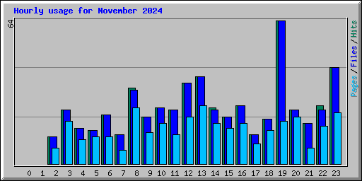 Hourly usage for November 2024