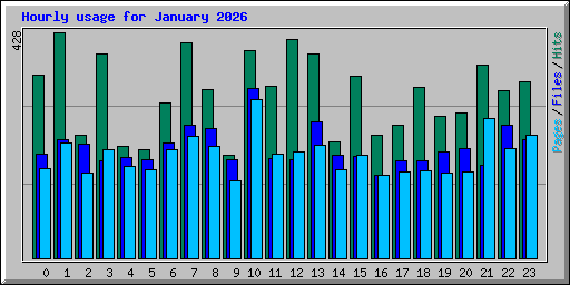 Hourly usage for January 2026