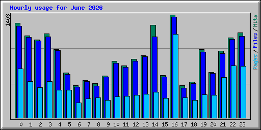 Hourly usage for June 2026